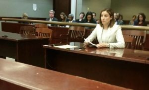 Risk Assessment Task Force Co-Chairwoman Marni Jo Snyder Testifies